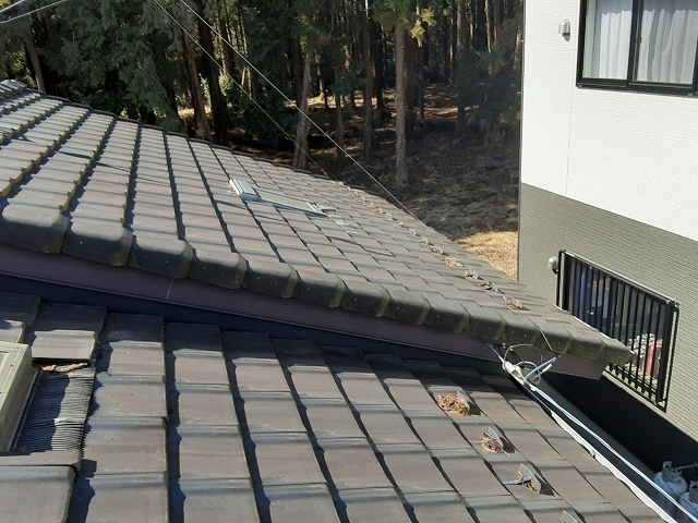 棟違い切妻屋根